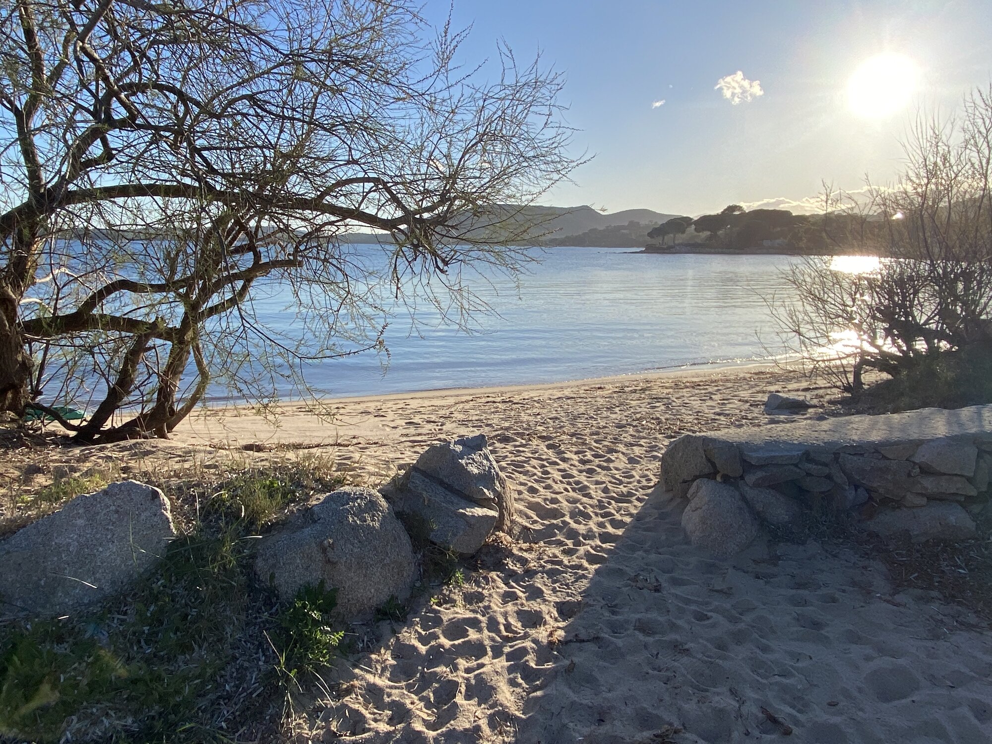 Vue depuis la terrasse